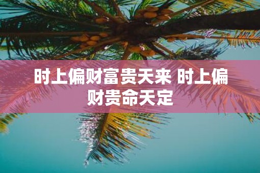 时上偏财富贵天来 时上偏财贵命天定