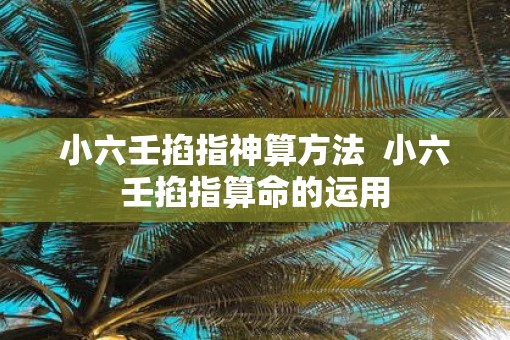 小六壬掐指神算方法  小六壬掐指算命的运用