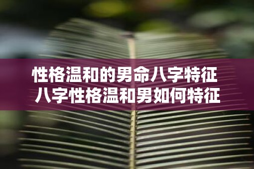 性格温和的男命八字特征 八字性格温和男如何特征