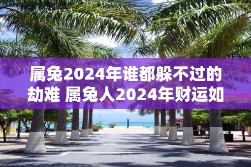 属兔2025年谁都躲不过的劫难 属兔人2025年财运如何