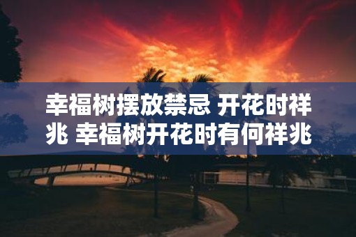 幸福树摆放禁忌 开花时祥兆 幸福树开花时有何祥兆