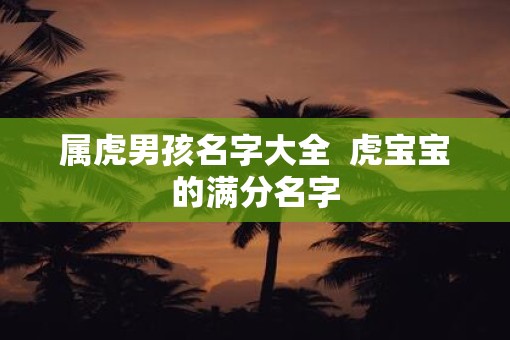 属虎男孩名字大全  虎宝宝的满分名字