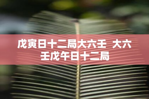 戊寅日十二局大六壬  大六壬戊午日十二局