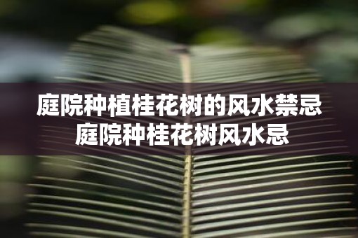 庭院种植桂花树的风水禁忌 庭院种桂花树风水忌