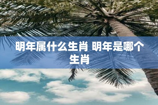 明年属什么生肖 明年是哪个生肖