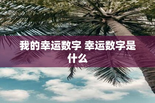 我的幸运数字 幸运数字是什么