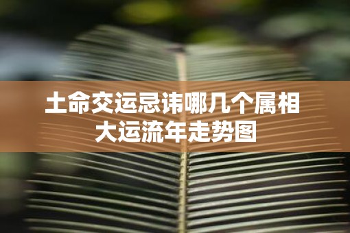 土命交运忌讳哪几个属相 大运流年走势图
