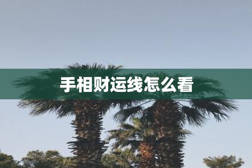 手相财运线怎么看