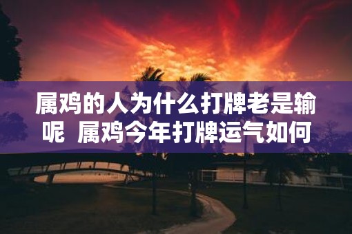 属鸡的人为什么打牌老是输呢  属鸡今年打牌运气如何