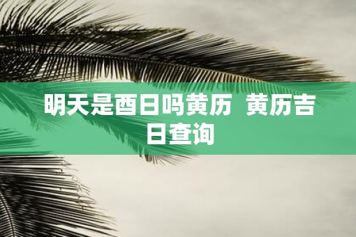 明天是酉日吗黄历  黄历吉日查询