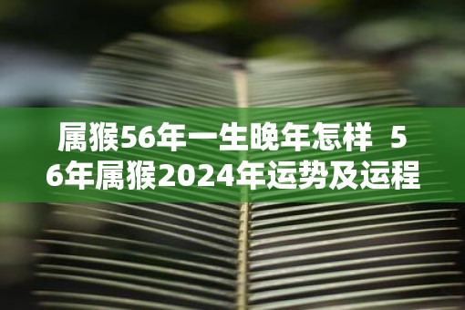 属猴56年一生晚年怎样  56年属猴2025年运势及运程每月运程