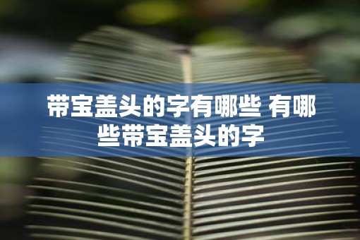 带宝盖头的字有哪些 有哪些带宝盖头的字