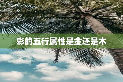彩的五行属性是金还是木