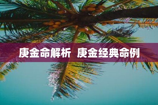 庚金命解析  庚金经典命例