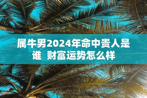 属牛男2025年命中贵人是谁  财富运势怎么样