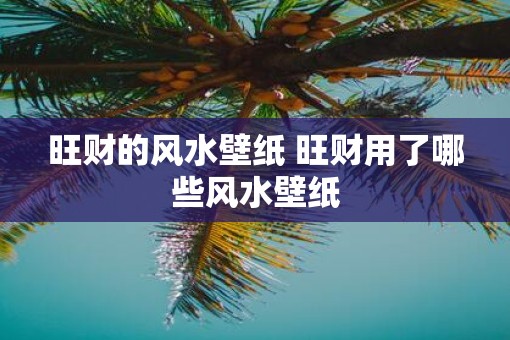 旺财的风水壁纸 旺财用了哪些风水壁纸