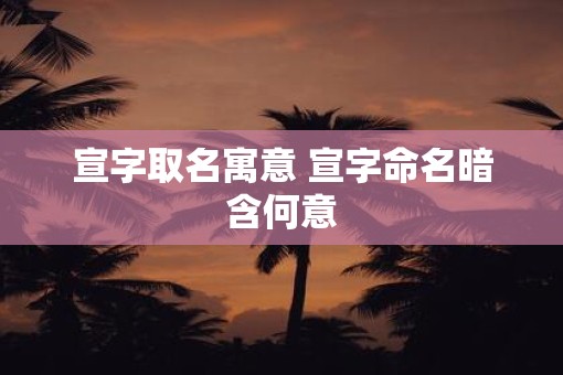 宣字取名寓意 宣字命名暗含何意