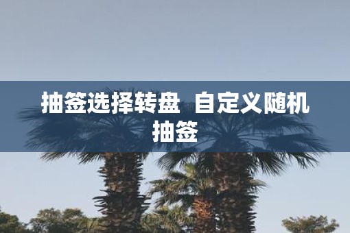 抽签选择转盘  自定义随机抽签