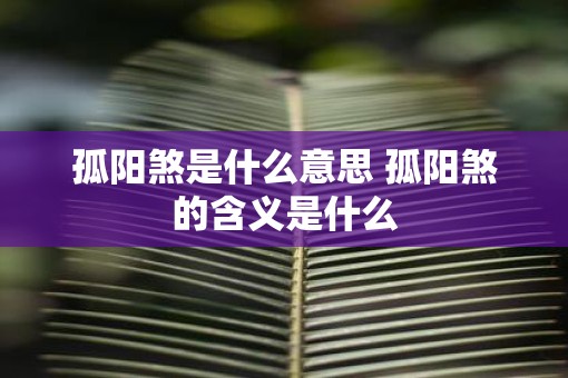 孤阳煞是什么意思 孤阳煞的含义是什么