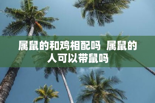 属鼠的和鸡相配吗  属鼠的人可以带鼠吗