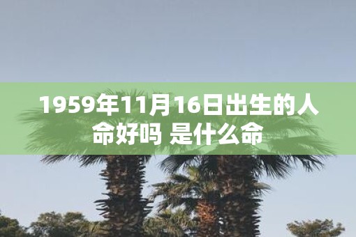 1959年11月16日出生的人命好吗 是什么命