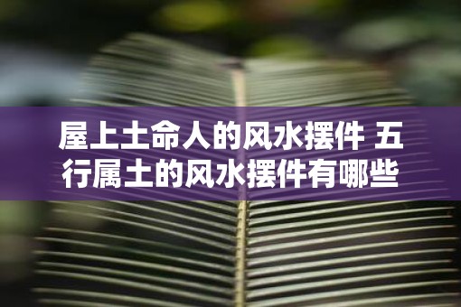 屋上土命人的风水摆件 五行属土的风水摆件有哪些