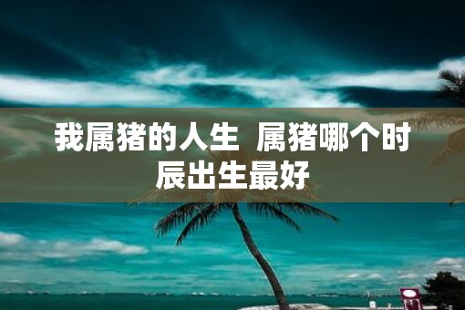 我属猪的人生  属猪哪个时辰出生最好