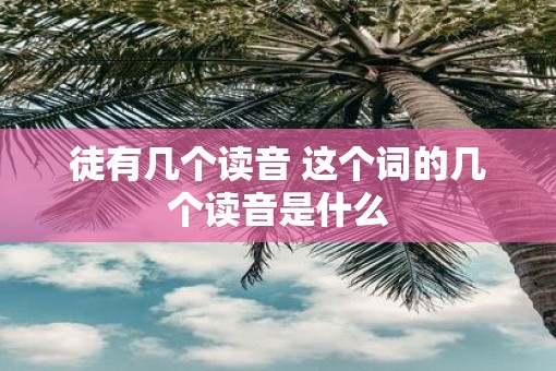 徒有几个读音 这个词的几个读音是什么