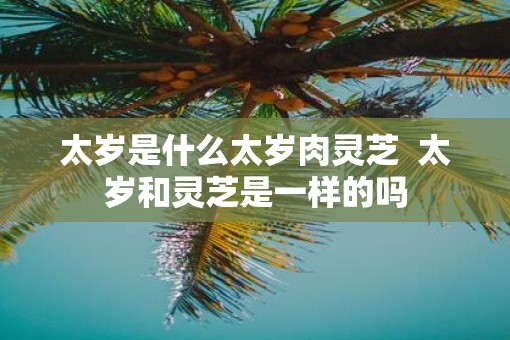 太岁是什么太岁肉灵芝  太岁和灵芝是一样的吗