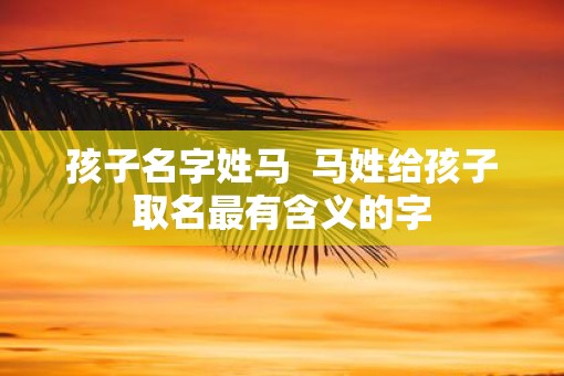 孩子名字姓马  马姓给孩子取名最有含义的字