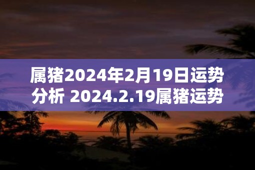 属猪2025年2月19日运势分析 2025.2.19属猪运势分析