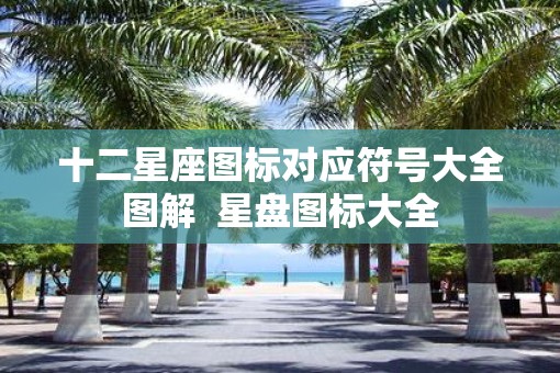 十二星座图标对应符号大全图解  星盘图标大全