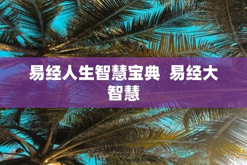 易经人生智慧宝典  易经大智慧