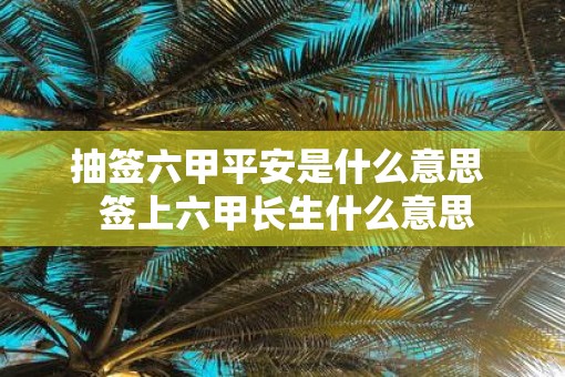 抽签六甲平安是什么意思  签上六甲长生什么意思