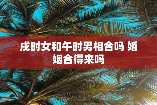 戌时女和午时男相合吗 婚姻合得来吗