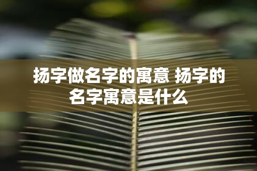 扬字做名字的寓意 扬字的名字寓意是什么