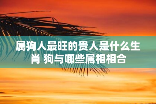 属狗人最旺的贵人是什么生肖 狗与哪些属相相合
