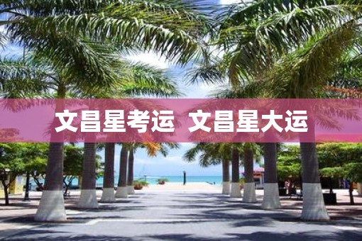 文昌星考运  文昌星大运