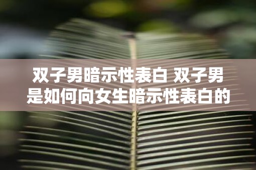 双子男暗示性表白 双子男是如何向女生暗示性表白的
