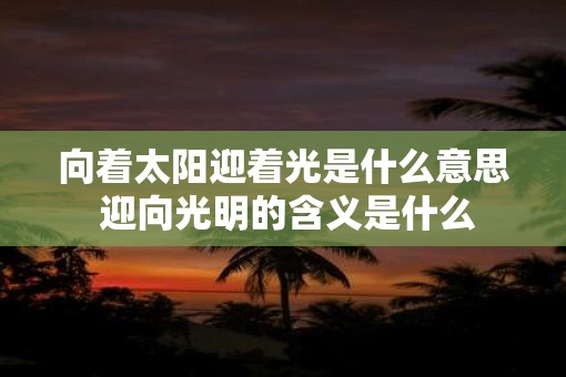 向着太阳迎着光是什么意思 迎向光明的含义是什么 向着太阳迎着光是什么意思 迎向光明的含义是什么