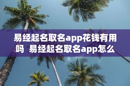 易经起名取名app花钱有用吗  易经起名取名app怎么样