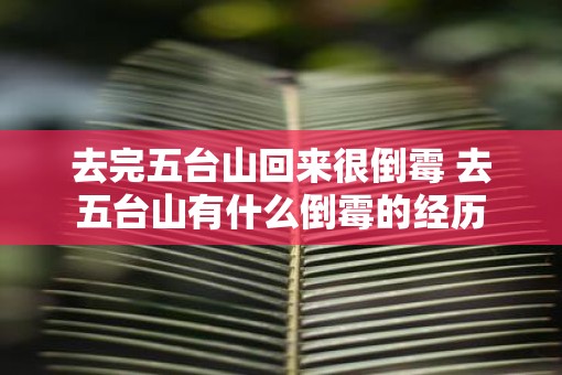 去完五台山回来很倒霉 去五台山有什么倒霉的经历 去完五台山回来很倒霉 去五台山有什么倒霉的经历