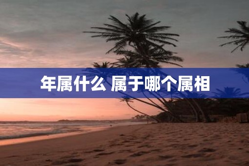 年属什么 属于哪个属相