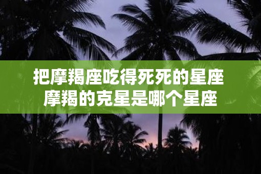把摩羯座吃得死死的星座 摩羯的克星是哪个星座