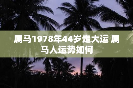 属马1978年44岁走大运 属马人运势如何