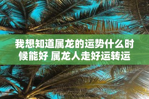 我想知道属龙的运势什么时候能好 属龙人走好运转运的时间