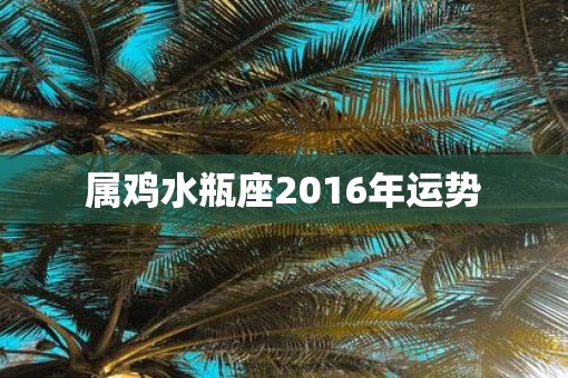 属鸡水瓶座2016年运势