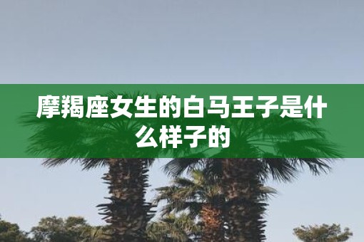 摩羯座女生的白马王子是什么样子的