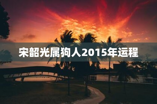 宋韶光属狗人2015年运程