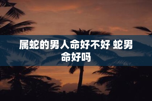 属蛇的男人命好不好 蛇男命好吗